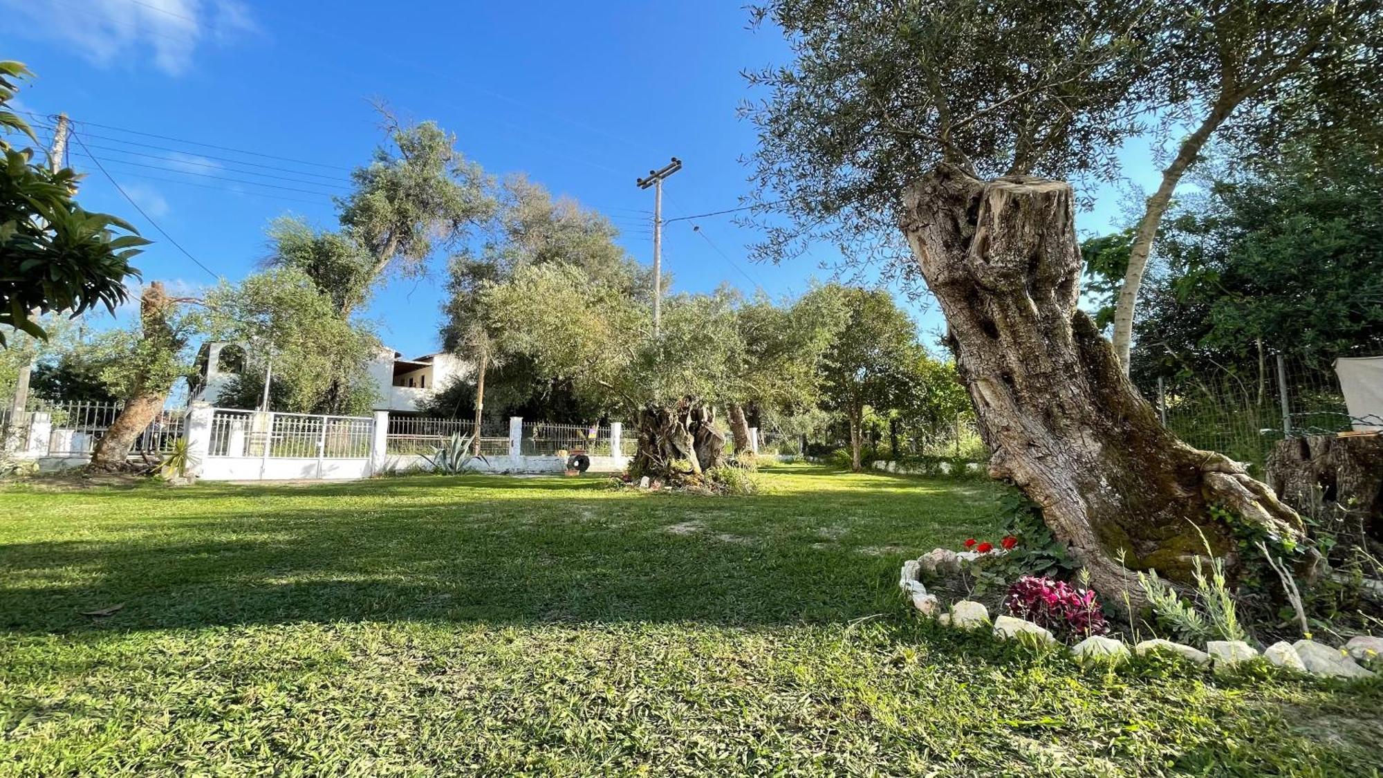 Nine Muses Apartments Kávos Dış mekan fotoğraf